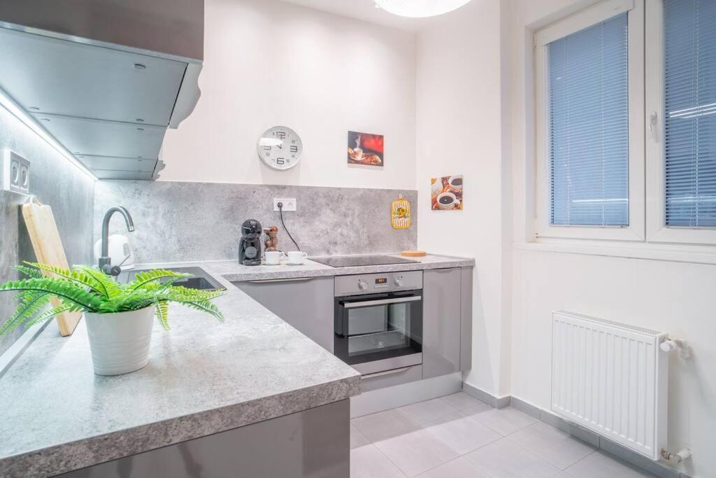 Sukromny Staromestsky Apartman V Uzasnej Lokalite/Cozy Old-Town Apartment In A Great Neighborhood Bratislava Dış mekan fotoğraf